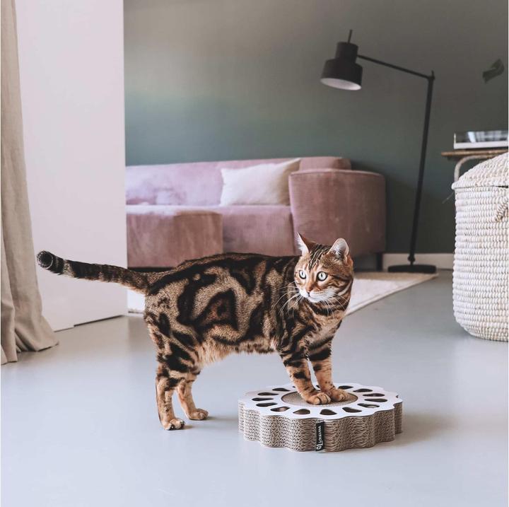 Produktbild District 70 Katzen-Spielzeug Spielboard Sunny White, 32 x 32 x 6 cm (Kratzspielzeug Katze)