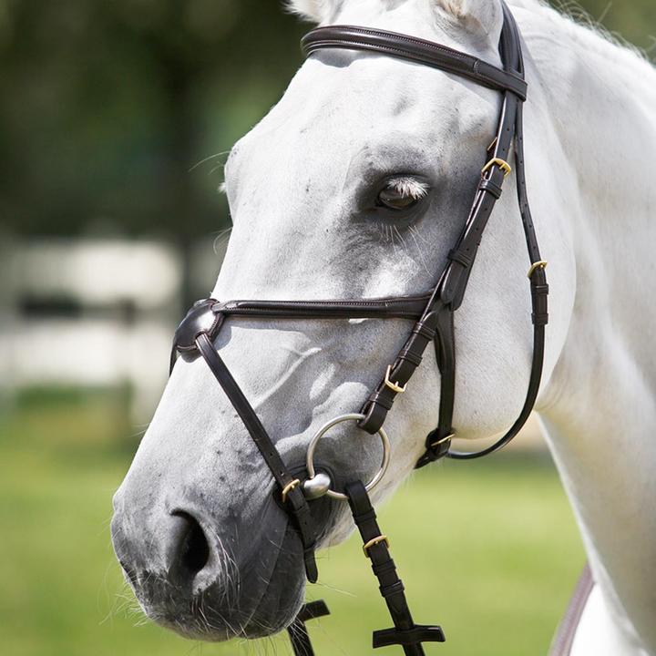 Immagine prodotto Daslö Testa a croce con museruola