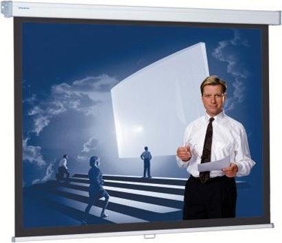 Produktbild Projecta ProScreen - Leinwand - Deckenmontage möglich, geeignet für Wandmontage - 302 cm (118.90", 16:9)