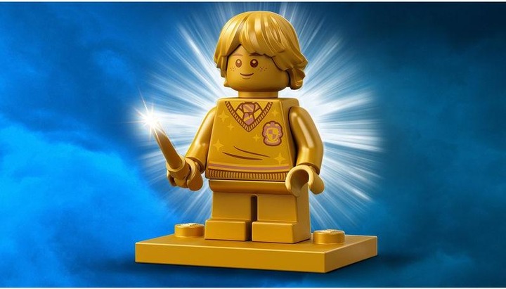 Image du produit LEGO Visite du village de Pré-au-Lard (76388, LEGO Harry Potter)