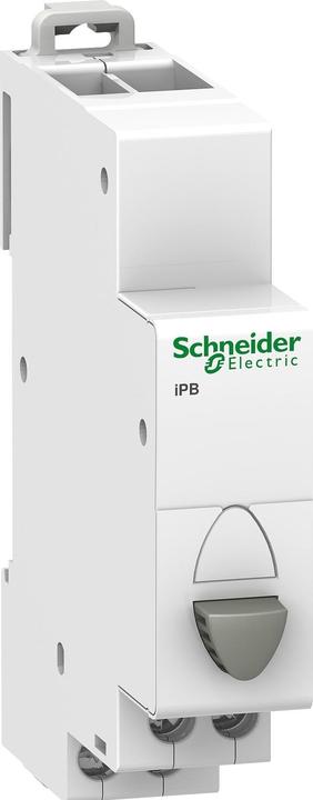Actual product image Schneider Electric Pushbutton gr 1S