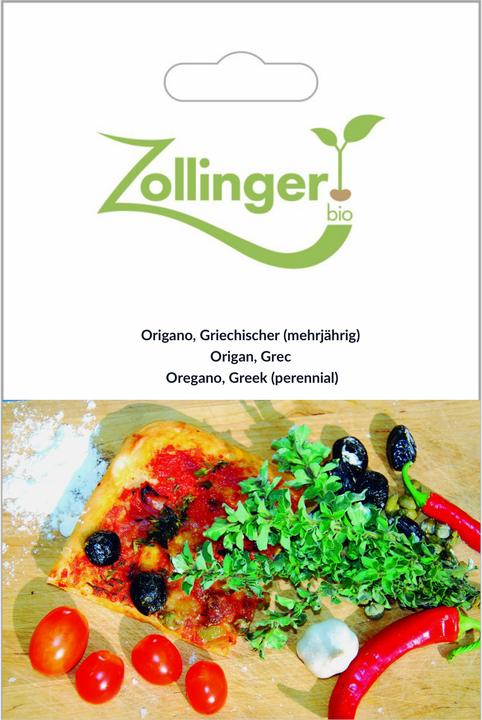 Zollinger Bio Origano, Griechischer (mehrjährig) (Keimlinge)