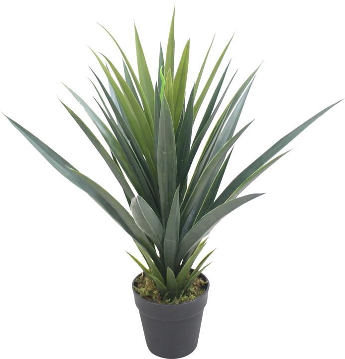Paperflow YUCCA Kunstpalme 60,0 cm (60 cm)