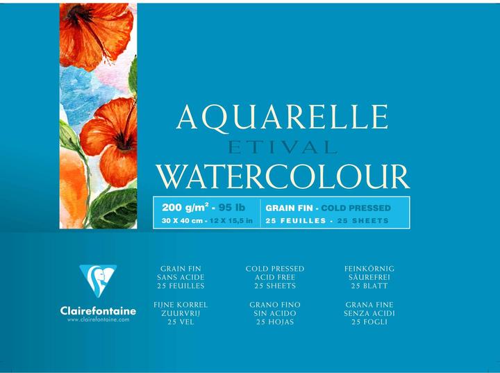 Image du produit Clairefontaine Techniques humides (200 g/m², 50 x)