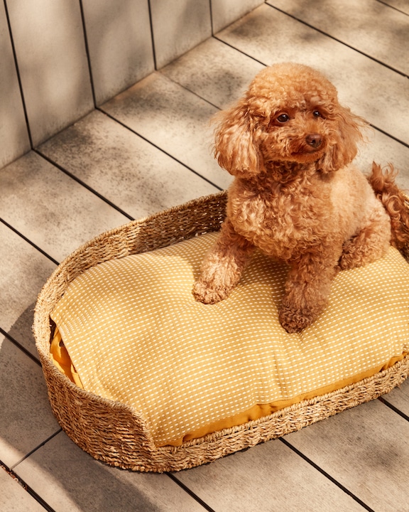 Actual product image Kave Home Fliicker (Dog)