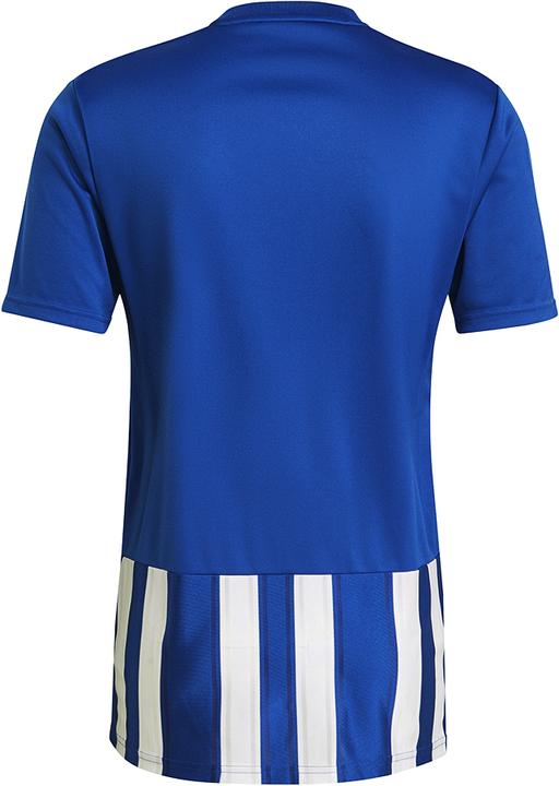 Actual product image adidas Striped 21 Jersey (XXL)