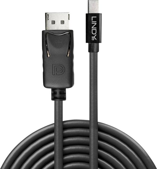 Image du produit Lindy Mini DisplayPort — DisplayPort (1 m, DisplayPort)