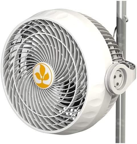 Produktbild Secret Jardin Monkey Fan