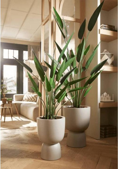 Image du produit Emerald Bara (125 cm)