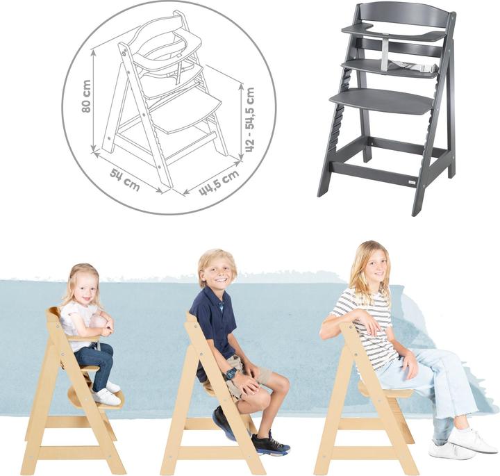 Image du produit Roba 2en1 (Chaise haute)