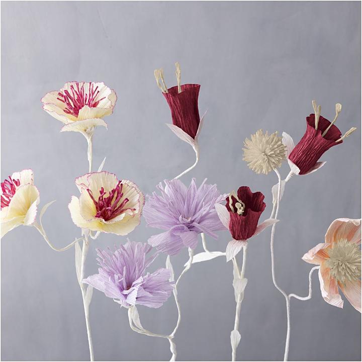 Image du produit Creativ Company Papier crêpé (105 g/m²)