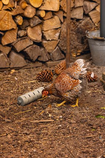 Actual product image Beeztees Feeding Station Chickens Snack Roller, Grey