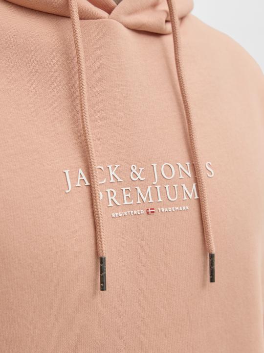 Actual product image Jack & Jones Jprbluarchie Sweat Hood Noos (XL)