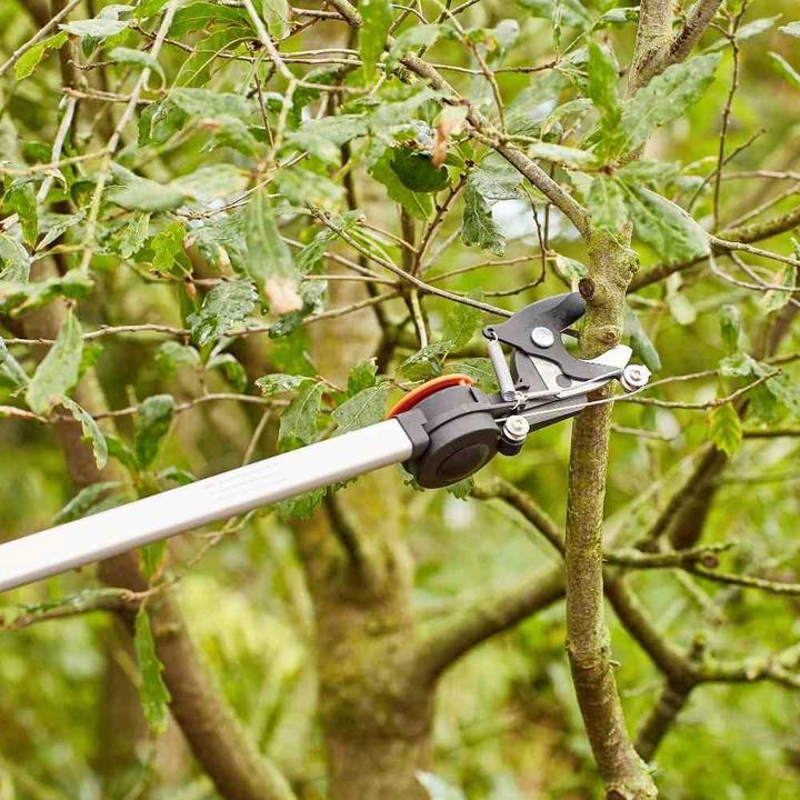 Actual product image Siena Garden Astschere