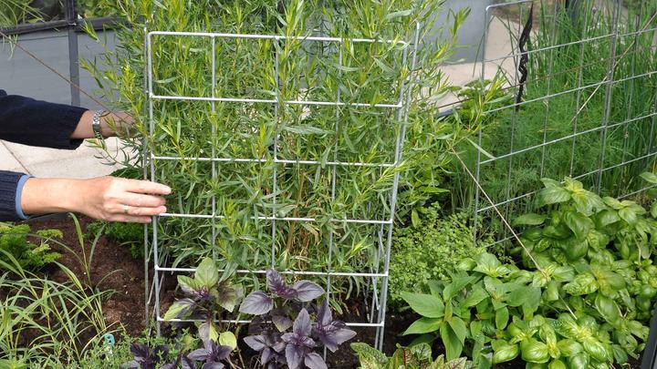 Produktbild GrowCamp Rankgitter zu Hochbeet (40 cm, 1 cm)