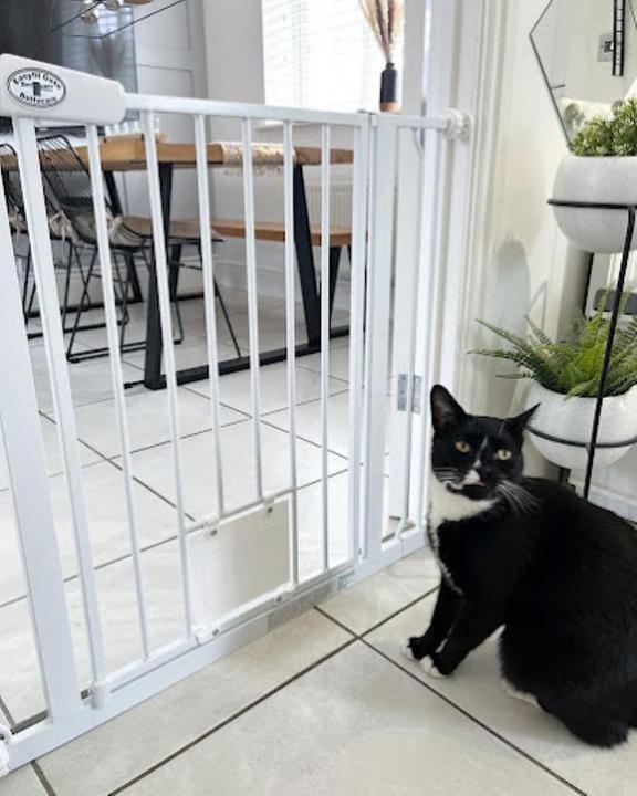 Produktbild Bettacare Haustiergitter mit abschliessbarer Katzenklappe, 75-83cm (75 cm)