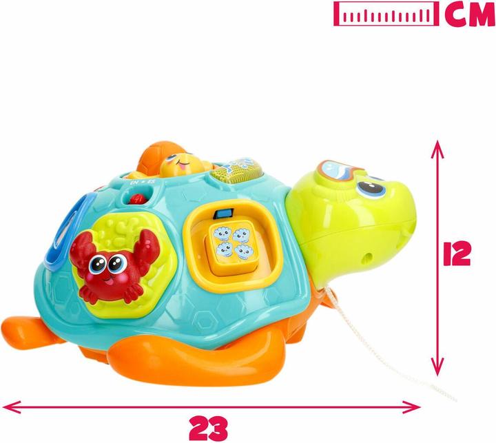 Actual product image Winfun Spielzeug zum Ziehen 23 x 12 x 23 cm Tortoise Bunt (2 Stück)