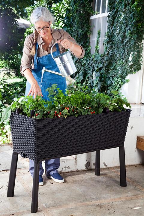 Produktbild Keter Easy Growing