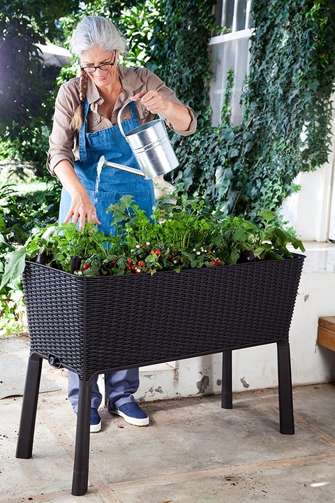 Produktbild Keter Easy Growing