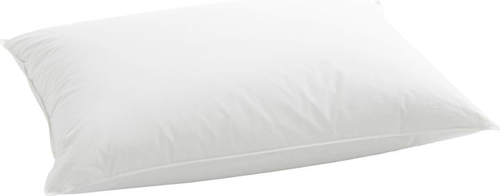 Billerbeck Duplo 150