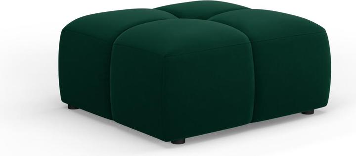 Black, Bottle of green