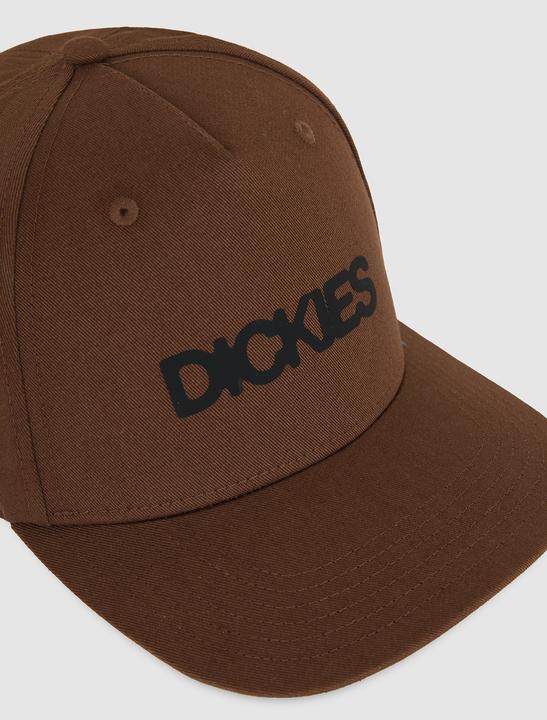 Produktbild Dickies Torrey Snapback Cap
