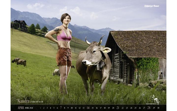 Immagine prodotto Calendario degli agricoltori svizzeri (56 x 40 cm, Nessuna rilegatura, Francese, Tedesco)