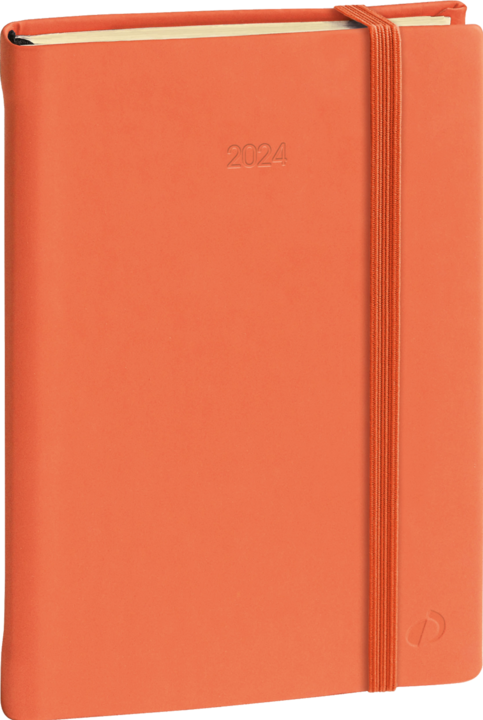 Actual product image Agenda Daily 17 Silk El 2024 376022Q 1T/1S, orange 12x17cm (12 x 17 cm, German)