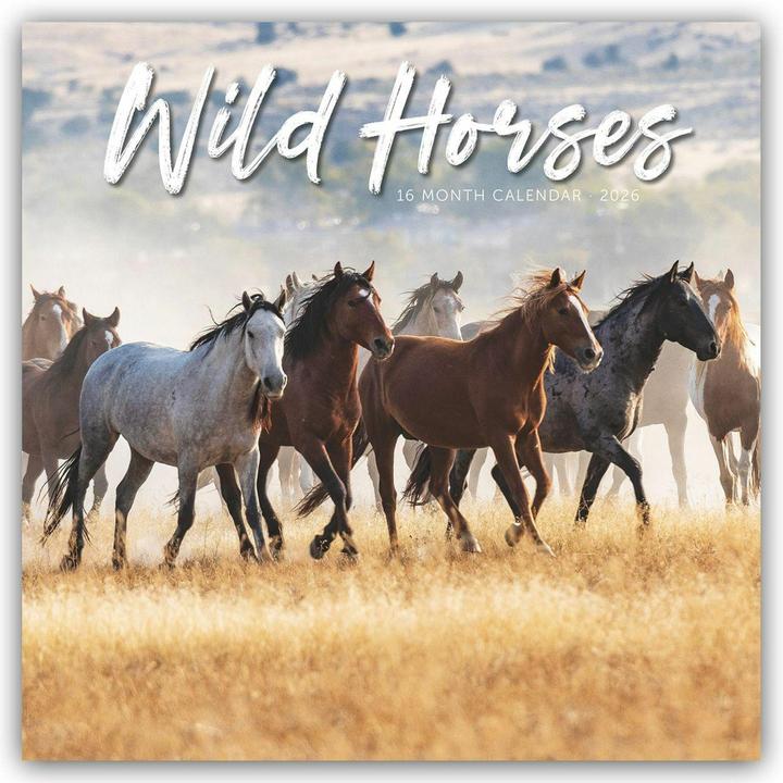 Produktbild Wild Horses - Wildpferde 2026 - Wand-Kalender (Spezial)