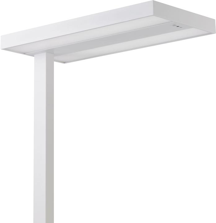 Actual product image Alco Floor lamp 9085-10 LED white (5400 lm)