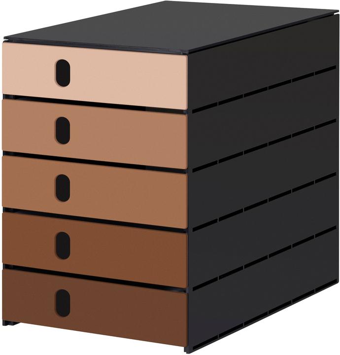 Braun, Mocca, Schwarz