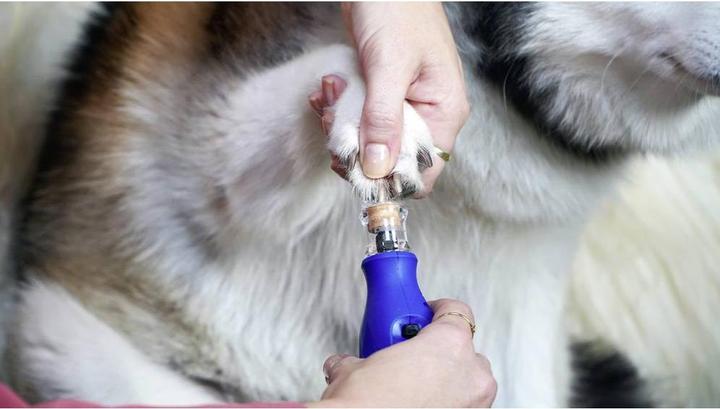 Produktbild Dremel Krallenpflegeset für Haustiere (Hund)