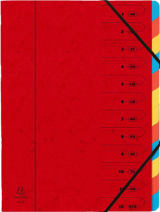 Immagine prodotto Exacompta Cartelle A4 (A4, 1x)