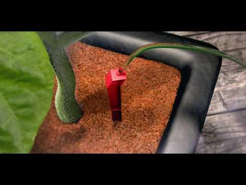 Produktbild Plagron Green Sensation (0.32 kg, 0.25 l)