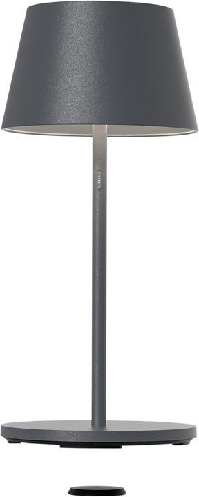 Actual product image Sompex Garcon Anth (1000 lm)