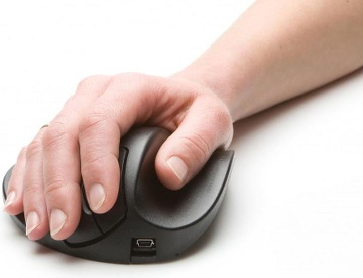 Produktbild Bakker Elkhuizen Hippus Handshoe (Kabellos)