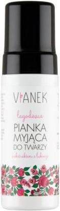 Produktbild Vianek Soothing facial cleansing foam 150ml (Reinigungsschaum, 150 ml)