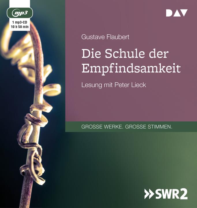 Actual product image The school of sensibility (Peter Lieck, Andrew Barbey, Gustave Flaubert, German)