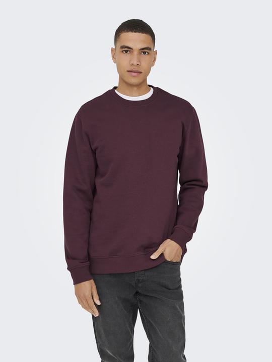 Image du produit Only & Sons Onsconnor Reg Crew Neck Sweat Noos (XXL)