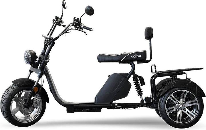 Esomoto CARGO Chopper 3.1 (25 km/h, 1500 W)
