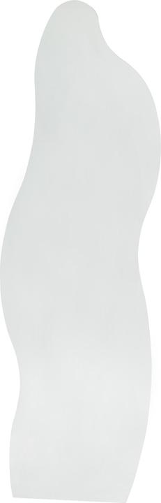 Actual product image SalesFever Spiegel (50 x 160 cm)