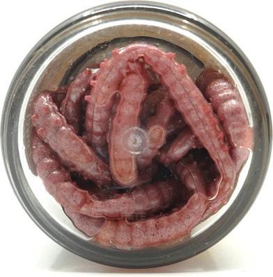 Immagine prodotto Berkley Powerbait Power Honey Worms Bubblegum Garlic (2.50 cm)