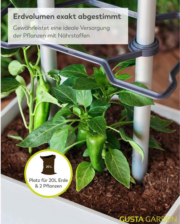 Actual product image Gusta Garden Charly Chilli XL
