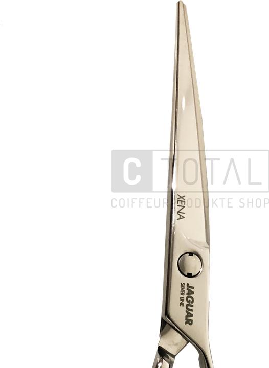 Image du produit Jaguar Silver Line Xena 6,0 Ciseaux à cheveux (15.24 cm)