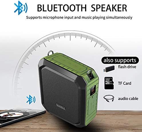 Actual product image Shidu Voice amplifier
