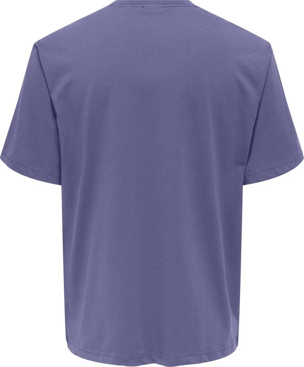 Produktbild Only & Sons Onscurated Rlx Print Ss Tee Noos (M)