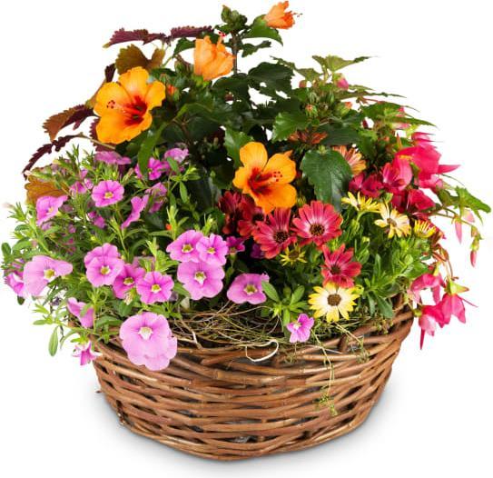 Fleurop Zarter Sommergarten (Gesteck)