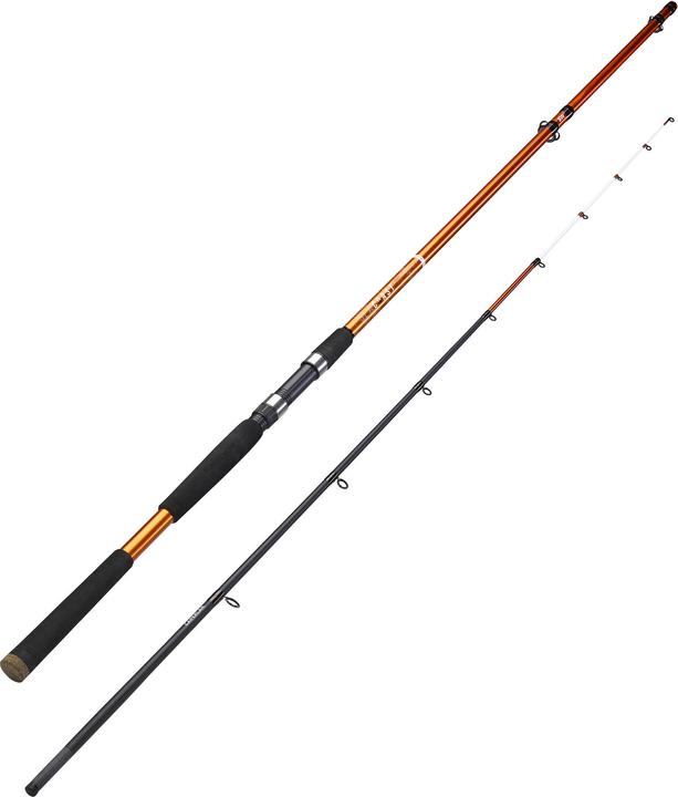 Immagine prodotto Caperlan SEACOAST LIGHT 100 (Asta a tutto tondo, 270 cm)