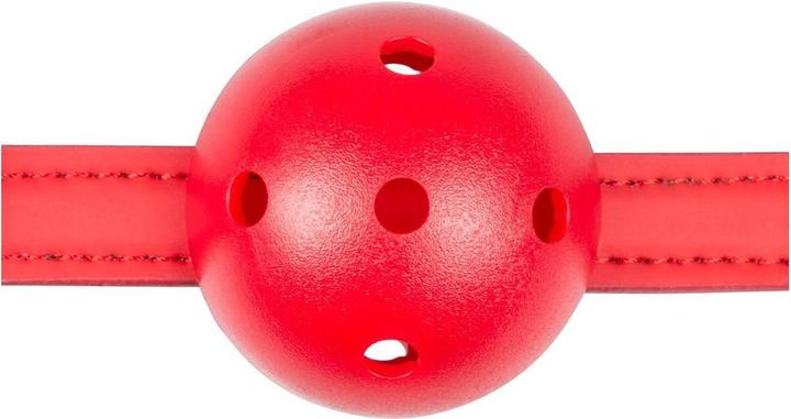 Actual product image Easytoys Ball Gag