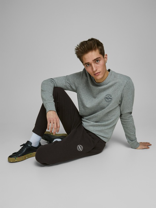Actual product image Jack & Jones Gordon Sweathose (S)